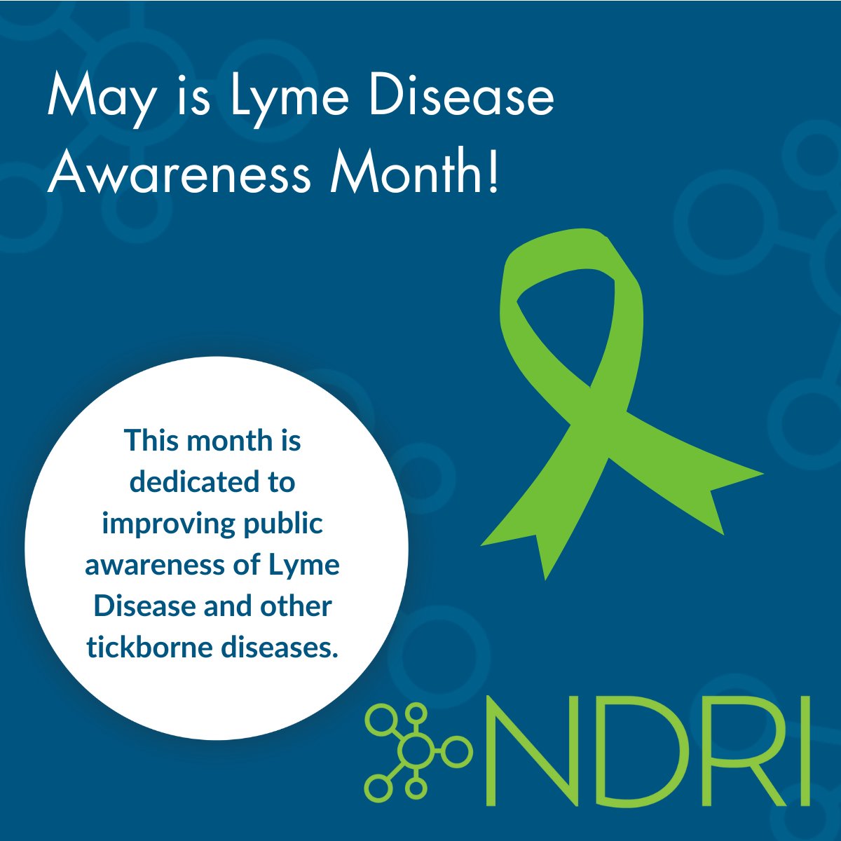 May is Lyme Disease Awareness Month which is dedicated to improving public awareness of Lyme Disease and other tickborne diseases. NDRI is proud to work with our partners at @bayarealymefoundation and #Lymediseasebiobank to accelerate Lyme Disease research.