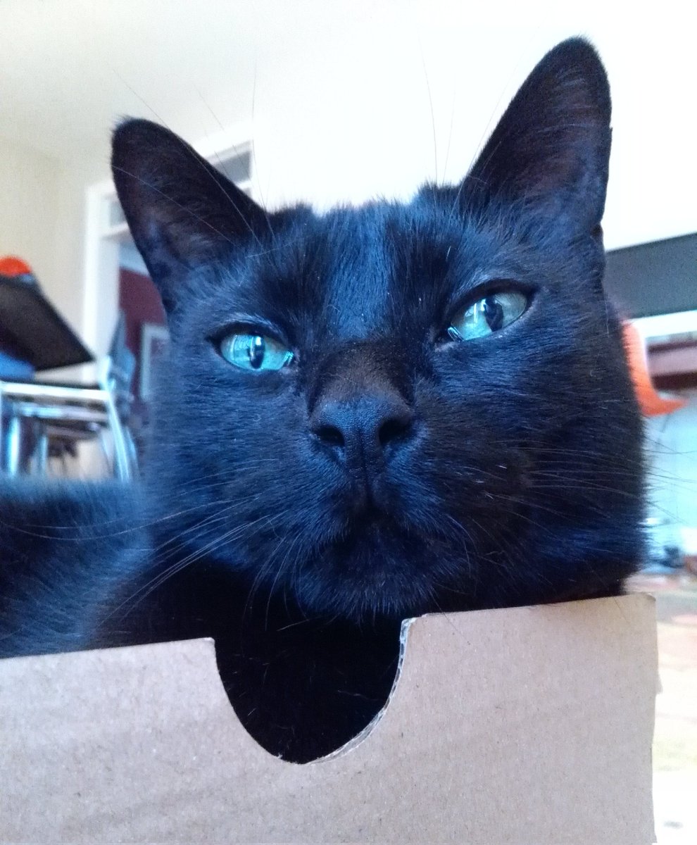 🌈 🖤Lux 🖤🌈