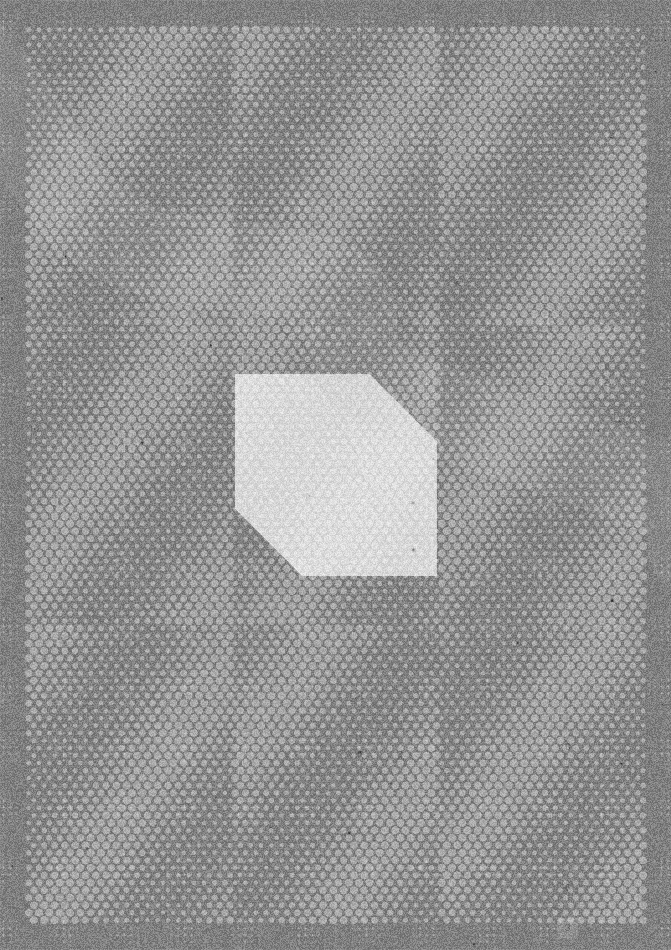 OTO 👀 tweet media