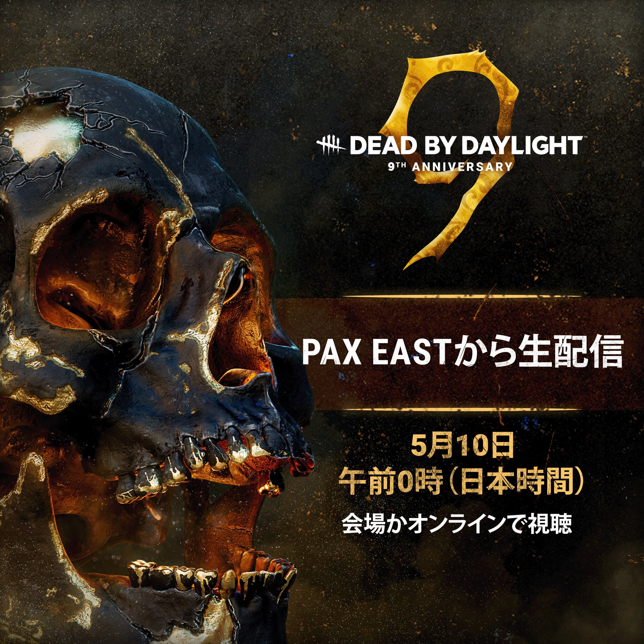 Ashes and  写真集　未開封　デッドストック 公式】Dead by Daylight on X: 