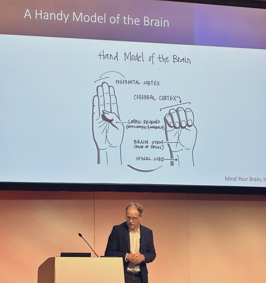 ‘U have a superpower 2change the function of this 🧠’ <a href="/DrDanSiegel/">Daniel J. Siegel</a> Hand Model uses the hand 2illustrate 2different states of mind we might go btween throughout the day as we communicate with others.The 👍🏻represents the limbic system of the brain &amp;is responsible 4the emotions felt