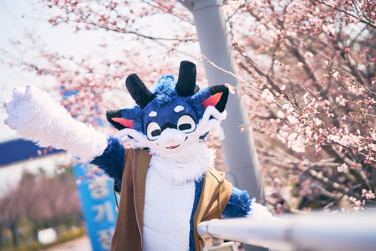 🌞#FursuitFriday #Fursuit #ShinNyong