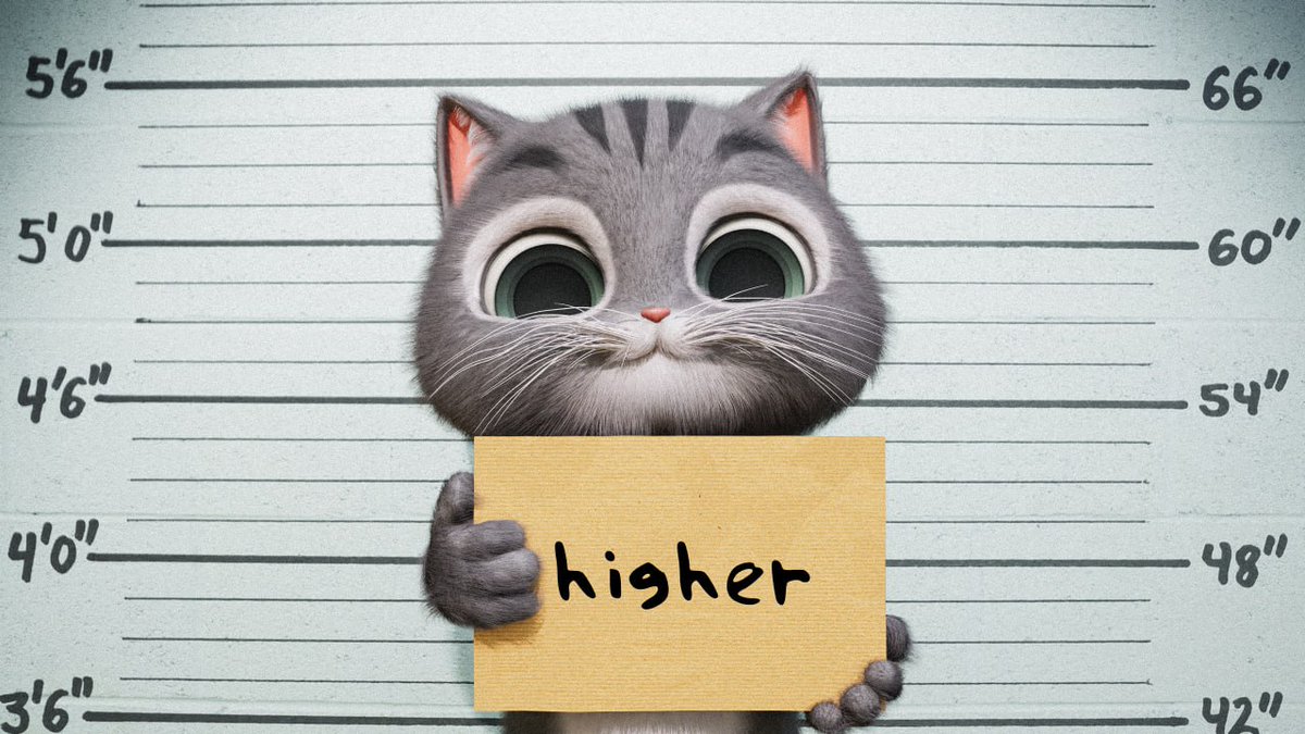 Boba Cat (@bobacatpsps) on Twitter photo 