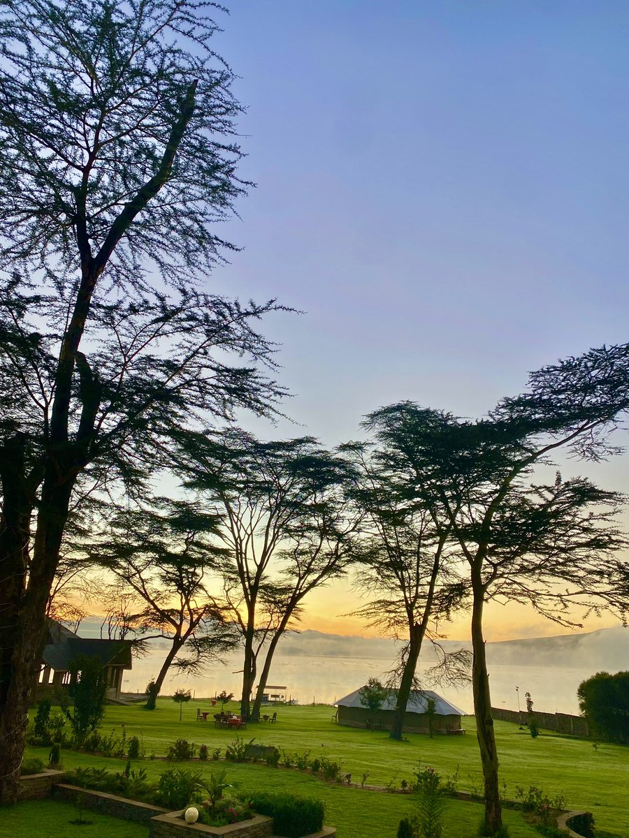 nomad_hues's tweet photo. Wake up to golden skies and the quiet call of nature.🌅Mornings like these are what Nomad adventures are made of.

Join us on our next camping adventure!
Book or inquire now:
+254 717 664 103 | info@nomadhuessafaris.co.ke

#sunrise #goldenhour #Magicalkenya https://t.co/fNTYnCLOzH