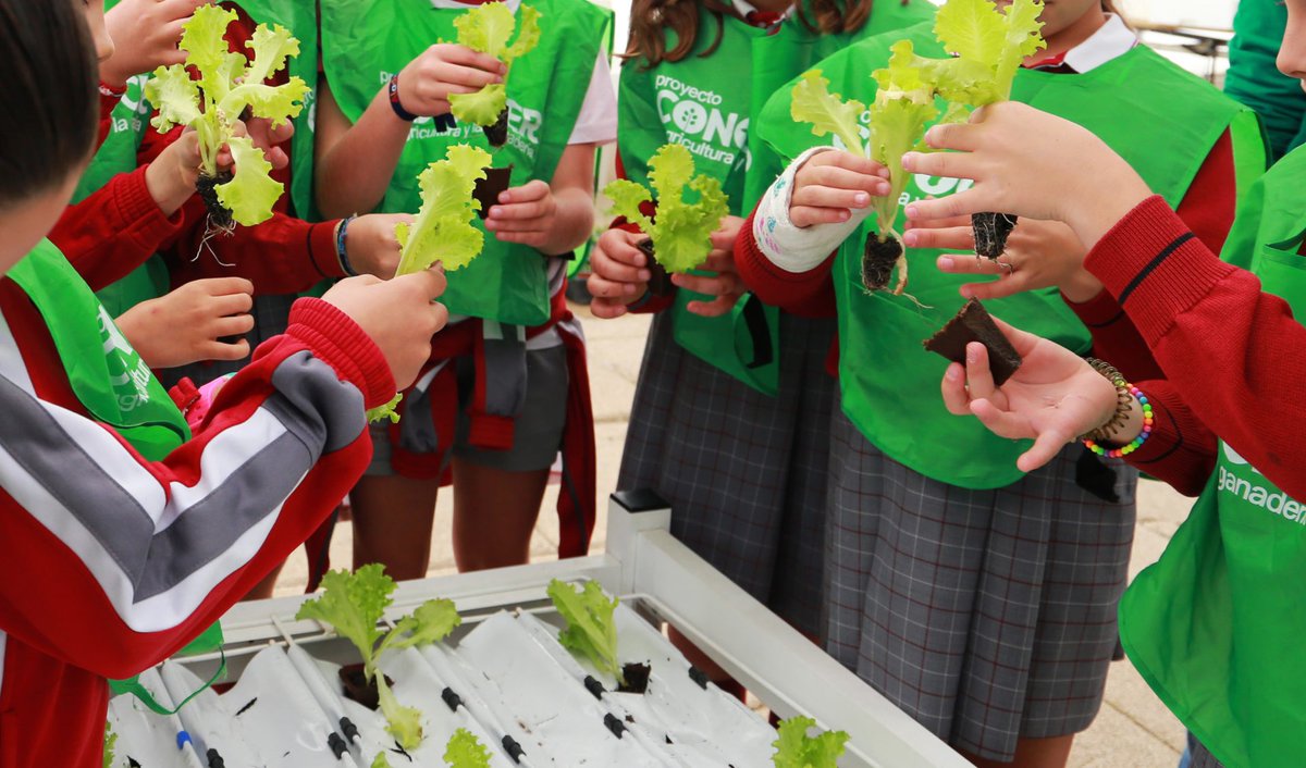 Universitarios estudiantes de ingenierías han acercado a 300 escolares a la cadena alimentaria con una particular ruta del campo al plato.

En cuatro jornadas, los alumnos de primaria han hecho un recorrido por la cadena de valor agroalimentaria.

efeagro.com/universitarios…