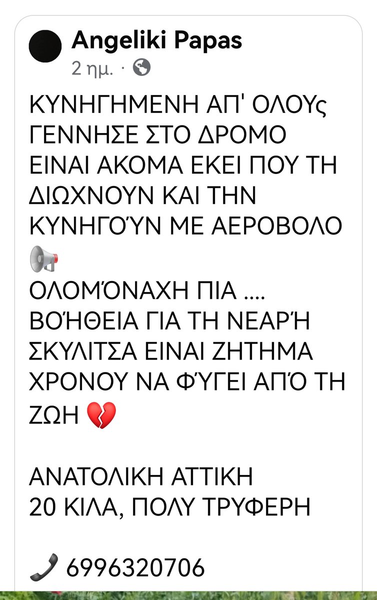 ‼️🆘‼️🆘‼️🆘🏠🐕🐾✌️✌️✌️✌️✌️✌️✌️Ψάχνει οικογένεια