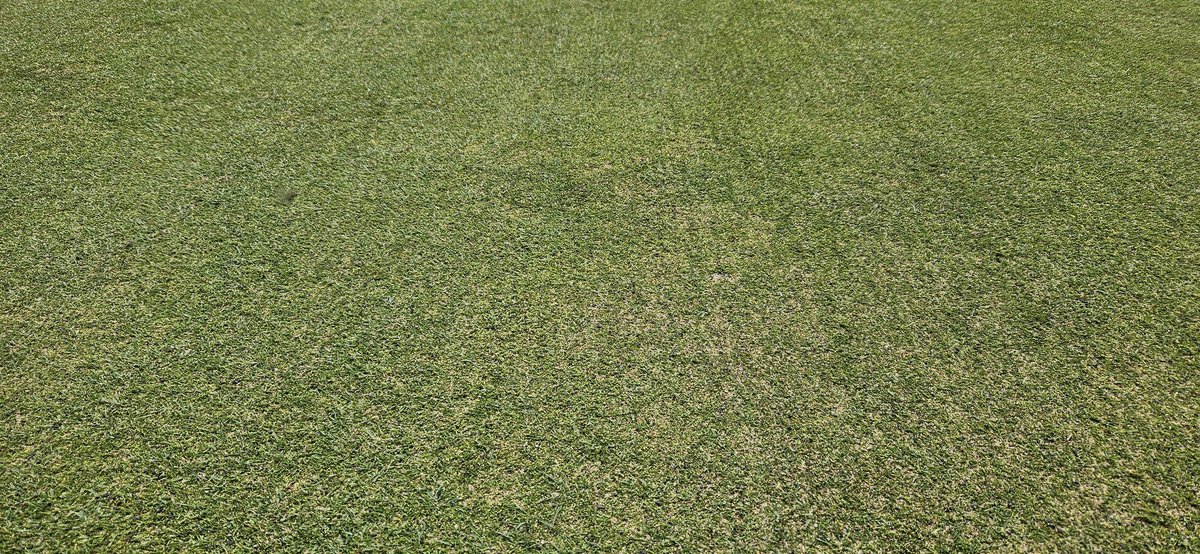 It's been a testing time <a href="/HowleyGC/">Howley Hall GC</a> recently with serious lack of rainfall and poor growing conditions. The team have put a good shift in today as we verticut greens followed by topdressing &amp; granular feed. Testing times don't look like changing soon but we'll keep cracking on....