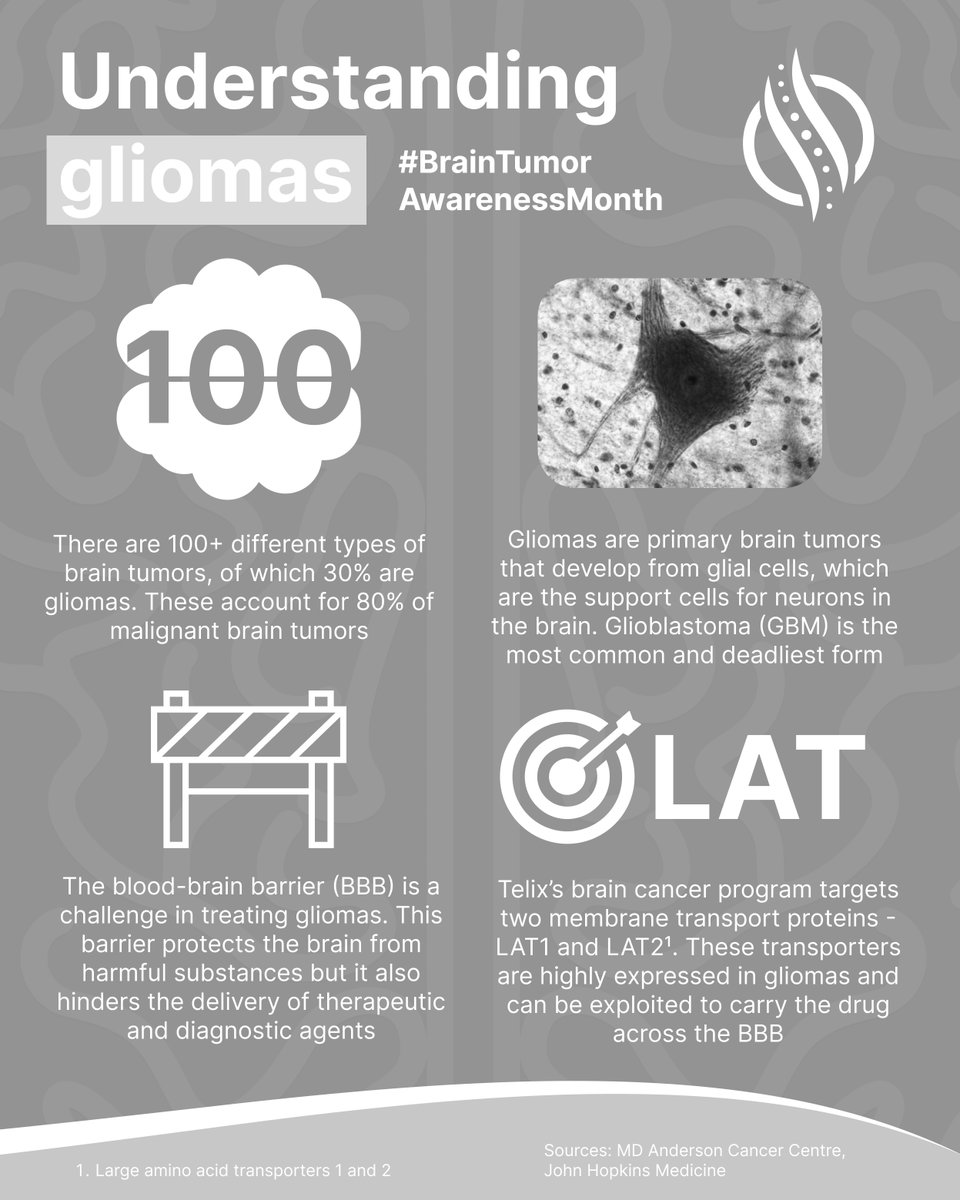 Gliomas are the most common type of malignant brain tumor, accounting for around 80% of all cases. The most aggressive form, glioblastoma, has a median survival of just 12 to 15 months after diagnosis. 

Diagnosing and treating these gliomas is complex and current