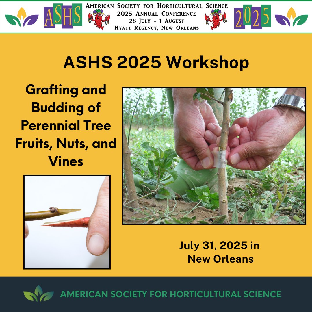 #ASHS2025 Workshop

This interactive workshop will introduce attendees to the history, science, and industry opportunities related to grafting perennial tree fruits, nuts, and vines. Includes a hand-on demo and time for practice.

Register now at ashs.org/page/ASHSAnnua…