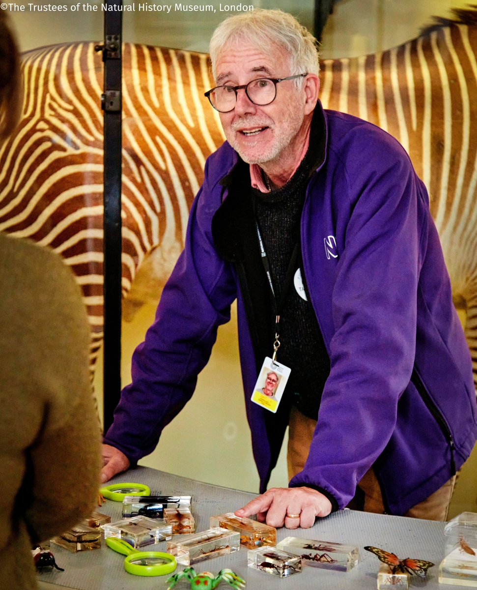 📢We're recruiting Learning Volunteers!
Join our team to engage with school groups, families and adults with our handling specimens in the galleries. 
Closing date 25 May
tinyurl.com/52wds8pk