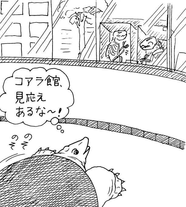 @englandhill_zoo 案外楽しんでたりして…?🐨✨️🐢 