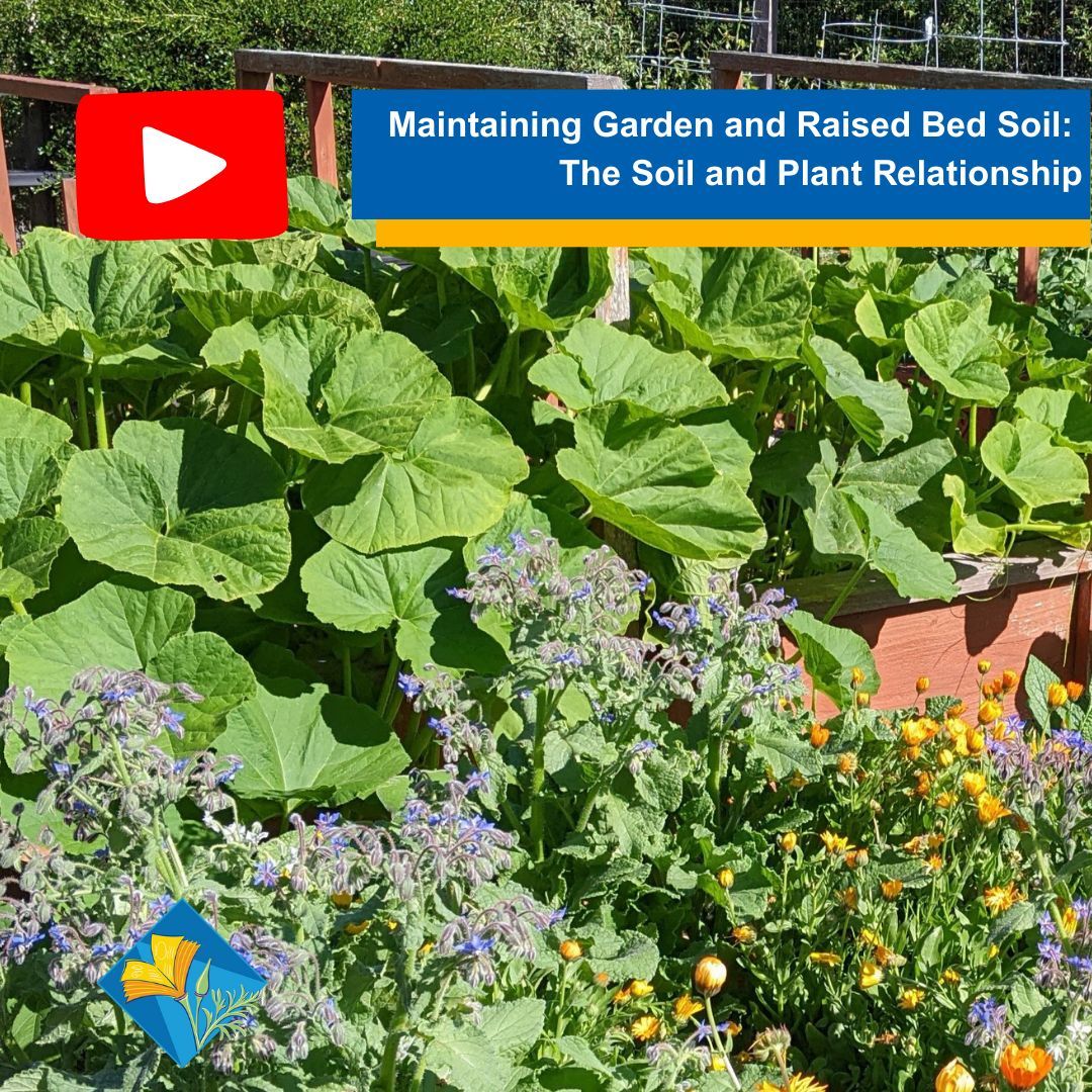 SMSF MasterGardeners tweet media