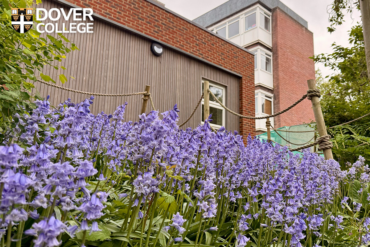A huge thank you to our incredible grounds and maintenance teams for their outstanding work in keeping the school looking its best. The vibrant colours blooming around the site are a testament to your care and dedication—it truly lifts the spirit of the whole community.