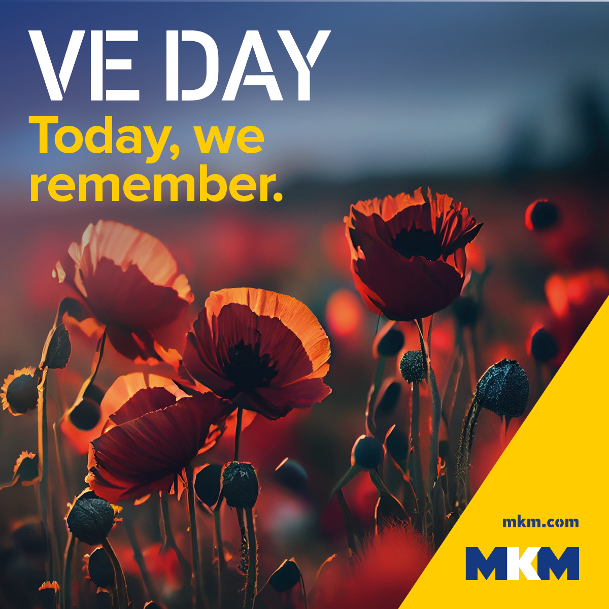 Today we remember and honour those who served and sacrificed. #VEDay