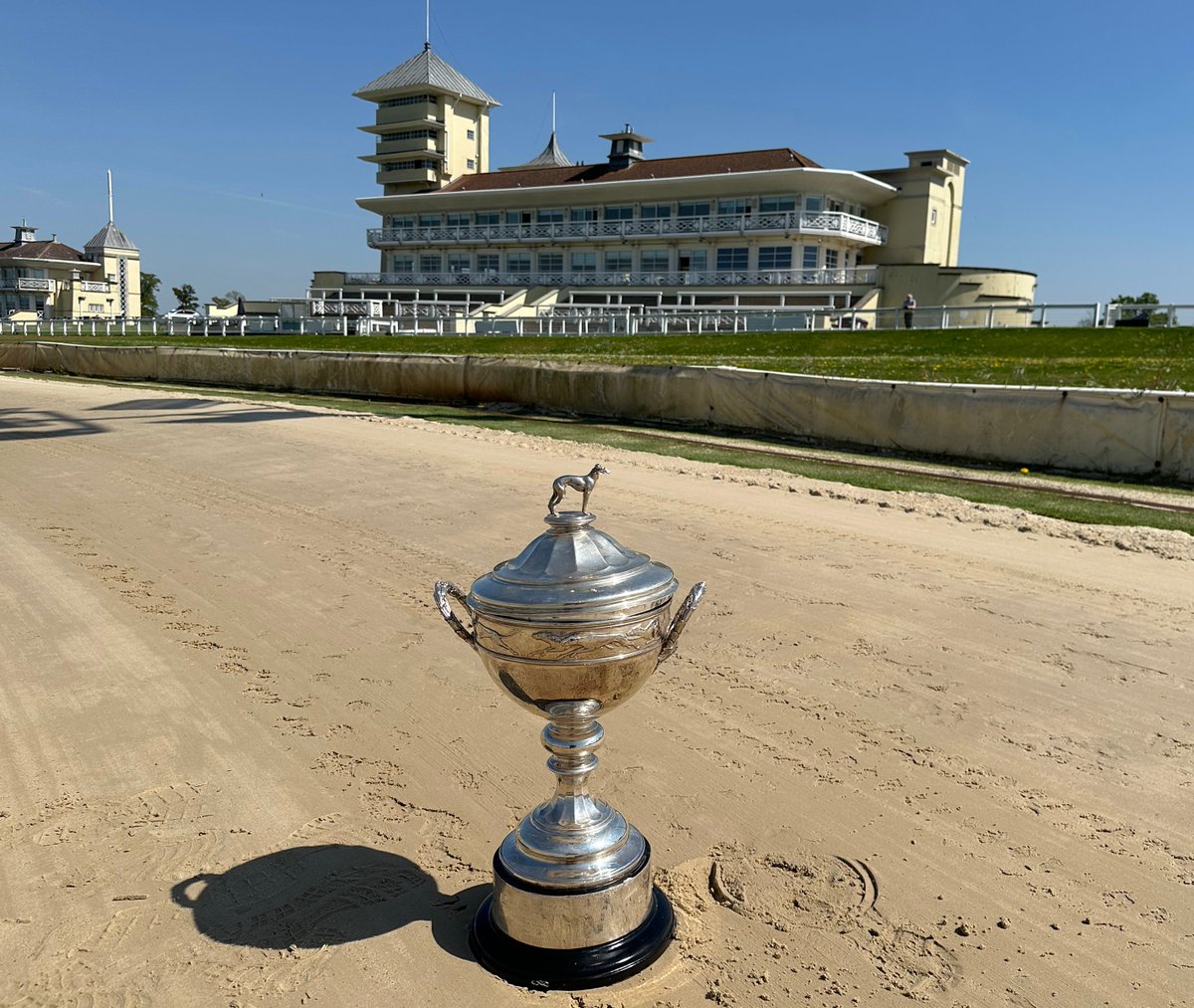 GreyhoundBoard's tweet image. 🏆 Derby day is here! 

Good luck to all the greyhounds and connections taking part in the 2025 @StarSports_Bet and @TowcesterRaces English Greyhound Derby.

Be sure to keep us up to date as you watch the showcase event of sport by using the hashtag #GreyhoundDerby2025