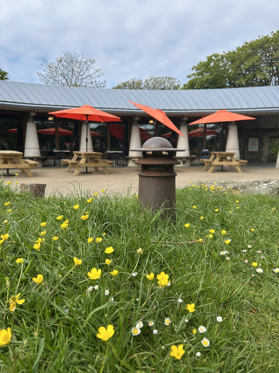 Waiting for smoke in St Davids #conclave