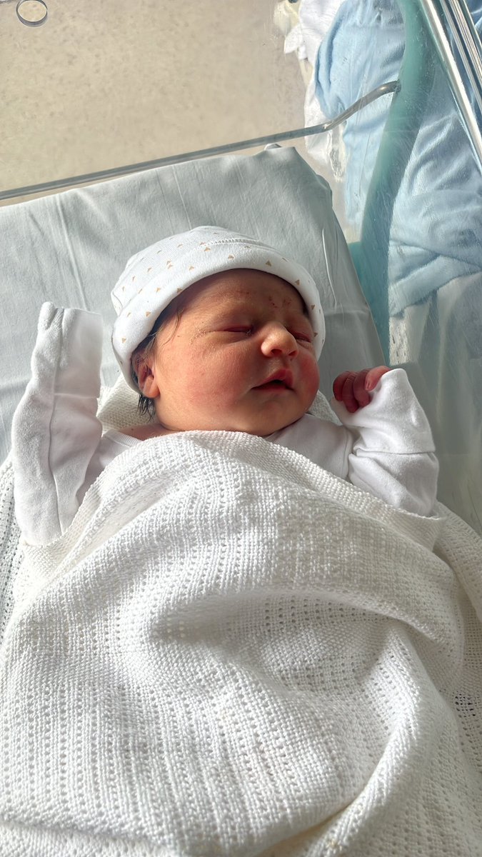 Sam Francis tweet media