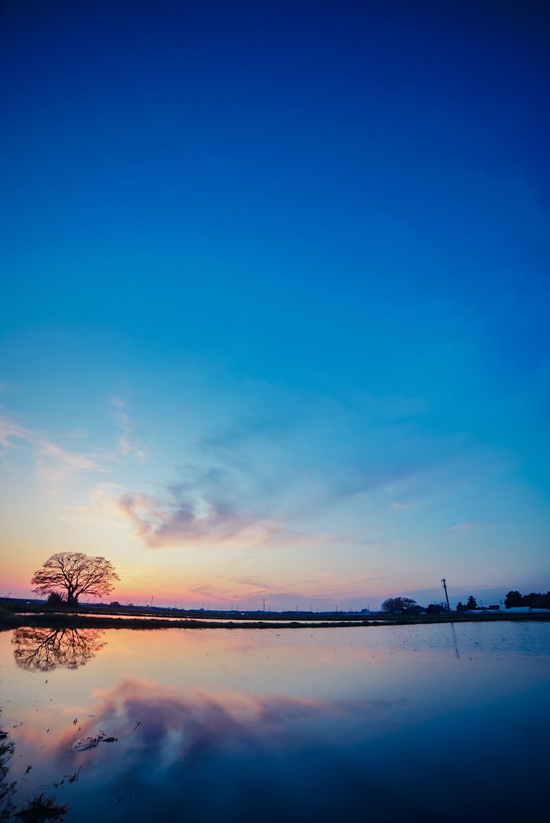 忘れたくない風景