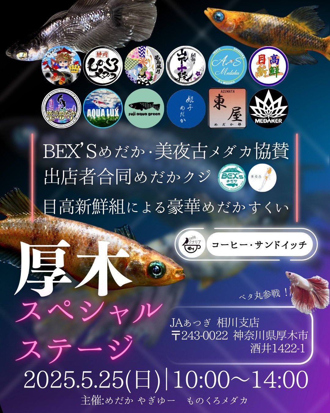 山下十段 タモ 大中小 3点セット めだか 魚用品・水草