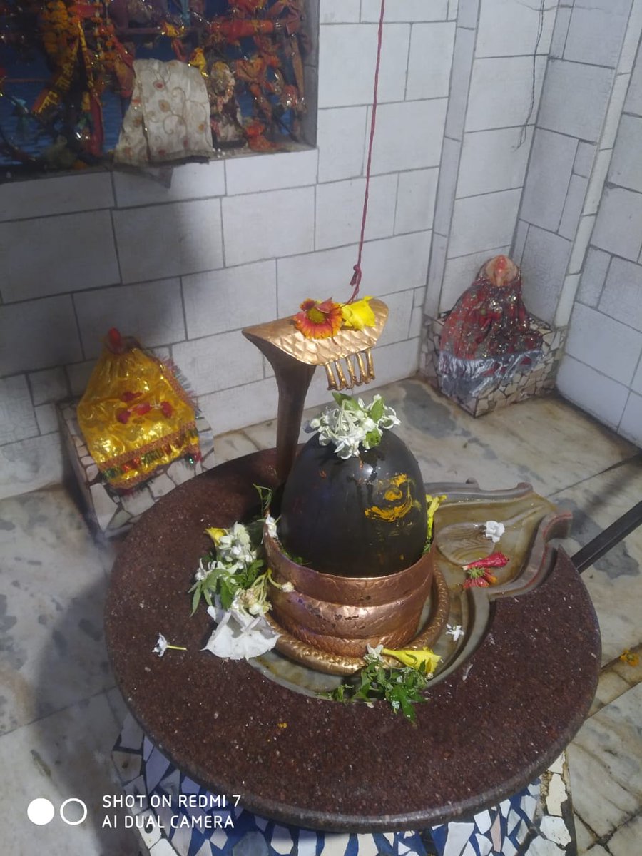 *ॐ देवराजसेव्यमानपावनाङ्घ्रिपङ्कजं*
*व्यालयज्ञसूत्रमिन्दुशेखरं कृपाकरम*
*नारदादियोगिवृन्दवन्दितं दिगंबरं*
*काशिकापुराधिनाथ कालभैरवं भजे॥*

जिनके पवित्र चरर्णों की सेवा देवराज इंद्र भगवान सदा करते हैं, जिन्होंने शिरोभूषण के रुप में चंद्र और सांप (सर्प) को धारण किया है, जो दिगंबर