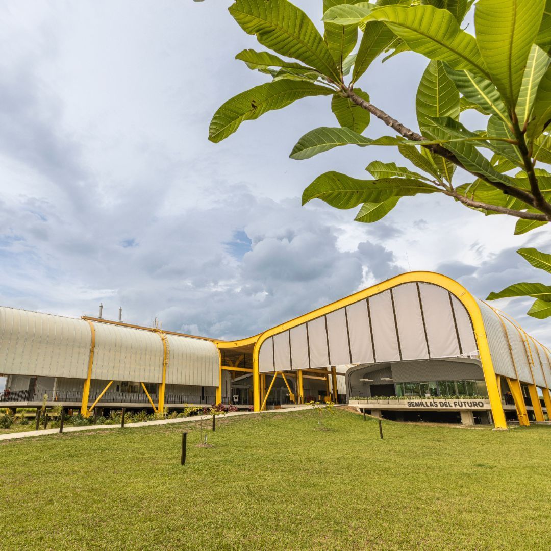 The Crop Trust (@croptrust) on Twitter photo Genebanks depend on uninterrupted electricity to store seeds at -20°C for long-term conservation ā yet few have switched to renewable energy.
Some of them, like <a href="/BiovIntCIAT_eng/">Alliance of Bioversity International and CIAT</a>ās Future Seeds, are leading the change in powering their missionā” ā”ļø buff.ly/O4hXeUz Genebanks depend on uninterrupted electricity to store seeds at -20°C for long-term conservation ā yet few have switched to renewable energy.
Some of them, like <a href="/BiovIntCIAT_eng/">Alliance of Bioversity International and CIAT</a>ās Future Seeds, are leading the change in powering their missionā” ā”ļø buff.ly/O4hXeUz