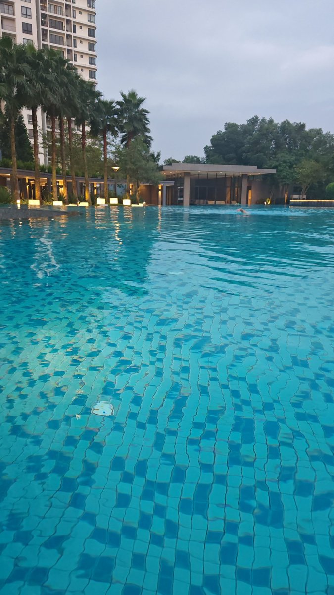 夕阳余晖，无边泳池，也留不下想回中国的心