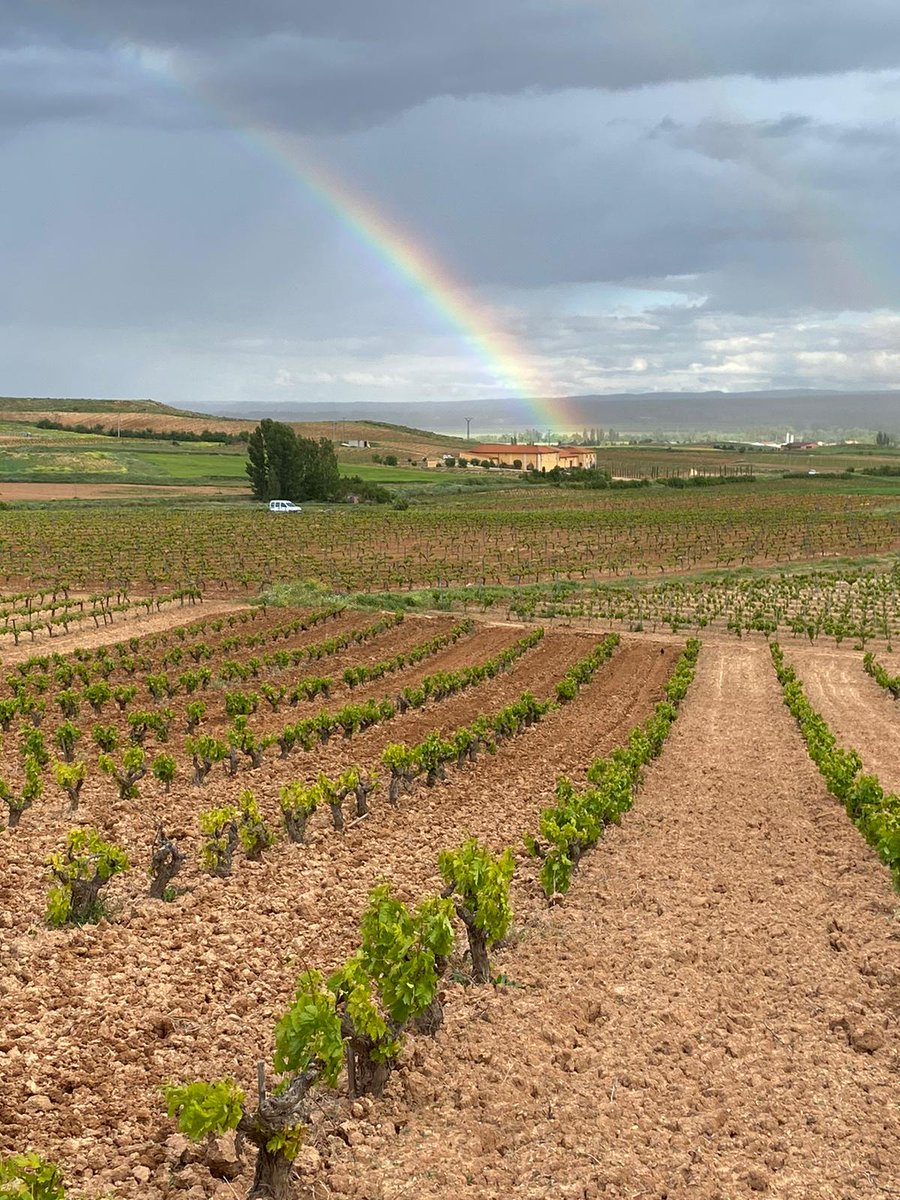Hoy celebramos el campo y a todos los que trabajan en él los 365 días del año.

¡Que San Isidro nos traiga una buena cosecha este año! ¡Feliz día! 🥰

#valderiz #viñedo #organicwines #riberadelduero #familiavalderiz
