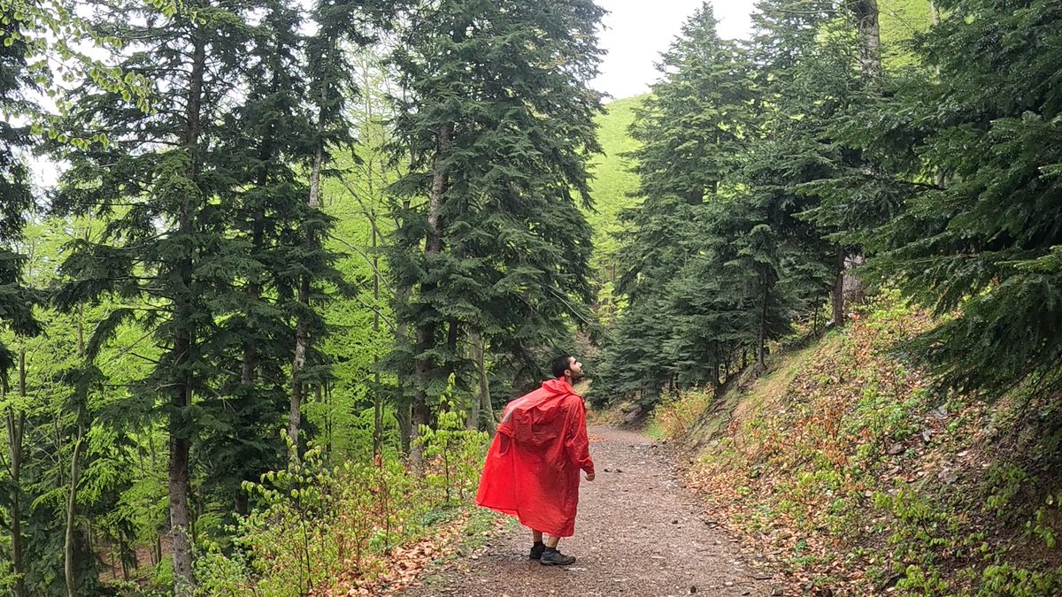 Pol_Trekking's tweet image. Hiked solo through a spring forest—just me, the silence, and the rain. 🌧️

The trail started calm and green... then came the downpour.

▶️ New video every Sunday: youtu.be/CPTQuIiH4pM

#SoloHiking #RainyHike #SpringTrek #SilentHike #WeeklyHike