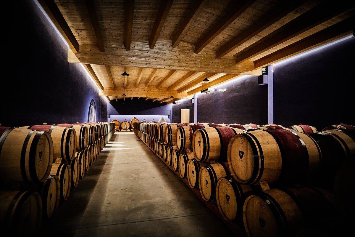 Cada año reunimos en la bodega a toneleros, bodegueros y expertos para elegir juntos las barricas perfectas.

Codo con codo, afinamos la crianza para sacar lo mejor de cada parcela 🍷

#valderiz #viñedo #organicwines #riberadelduero #familiavalderiz