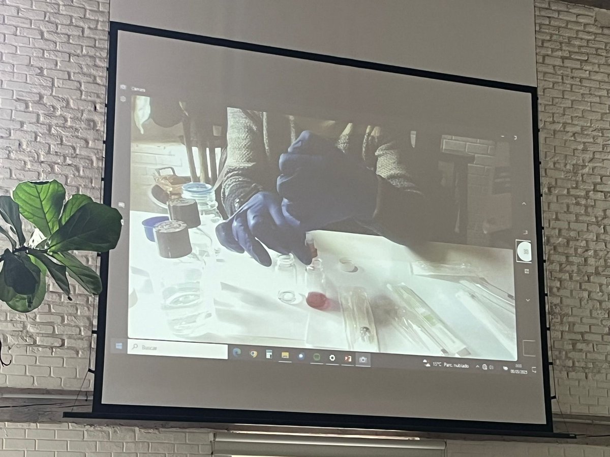 icmm_csic's tweet photo. 🇪🇺 segundo día de nuestras jornadas para conmemorar el #DiadeEuropa
🌱 Hoy, con experimento en vivo (¡y más cosas!)
💫#EuropeanResearchers #EuropeanResearchersNight #NightMadrid @MSCActions @madrimasd https://t.co/iKTkmMqQ4q
