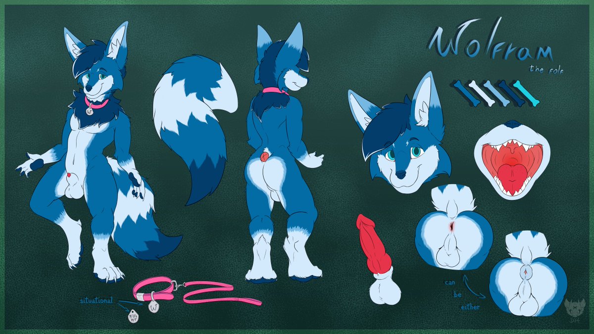 Wolfram🔞 tweet media