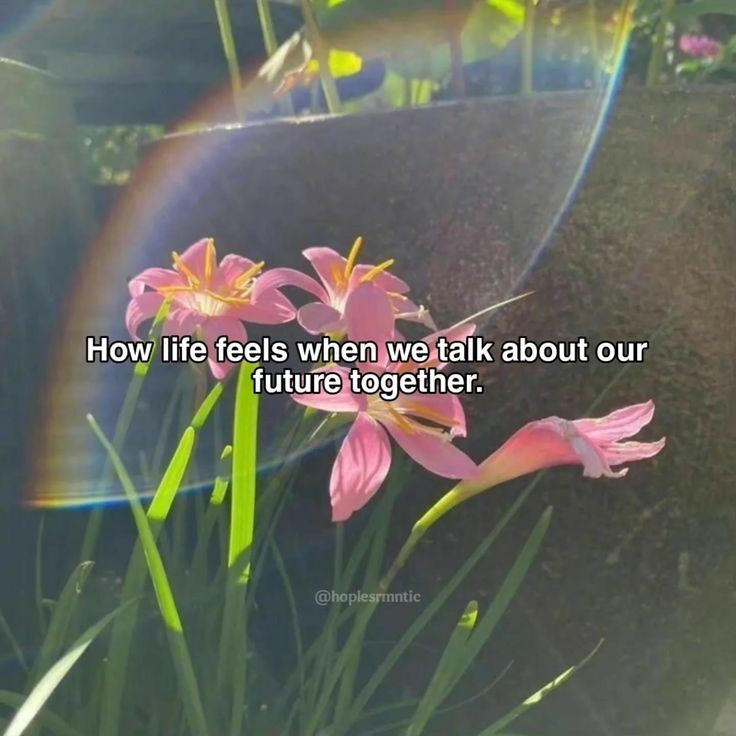 in the pages of my life, you are my favorite chapter, and I hope this story lasts forever. happy first monthsary, sayangku🤍