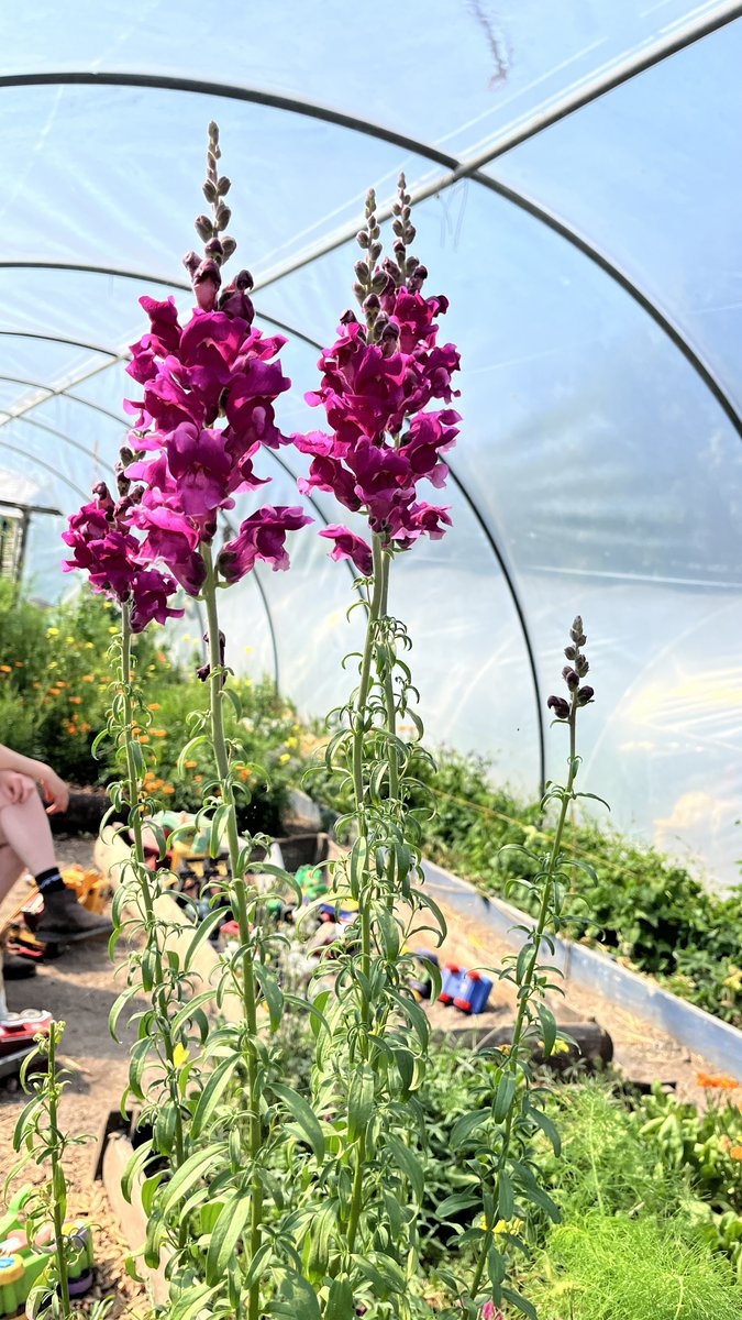 We partnered with Sligo Children's Community Gardens on a creative summer workshop 🌿
The project is now captured in a new leaflet, with support from <a href="/WatersProgramme/">Local Authority Waters Programme</a>  <a href="/CreativeIreland/">Creative Ireland</a> 
Read more 👉kidsown.ie/creative-conne…
#KidsOwn #CommunityArts #LAWPRO #CreativeIreland