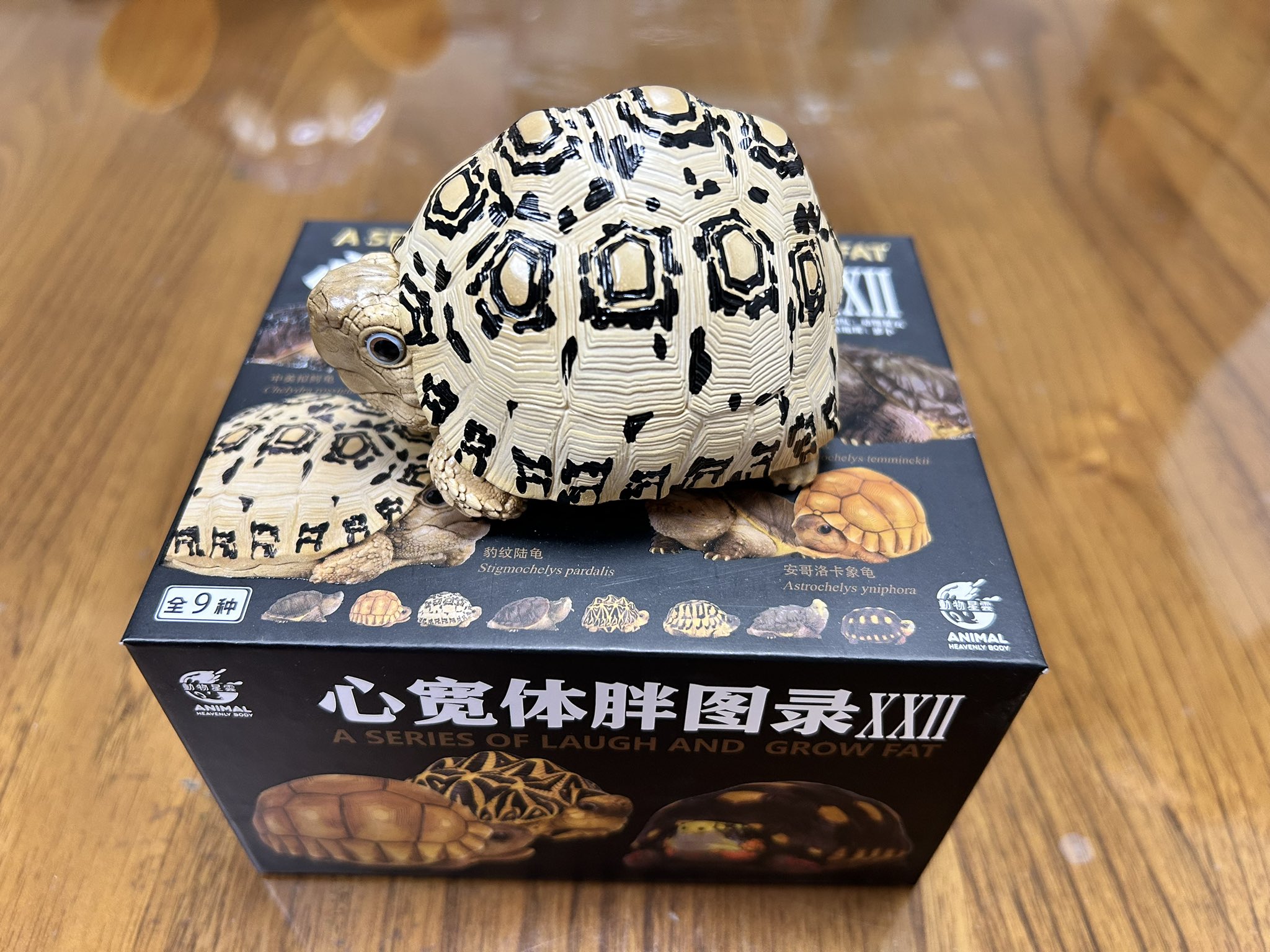 動物の惑星〜アニマルプラネット 東京レプタイルズワールド5