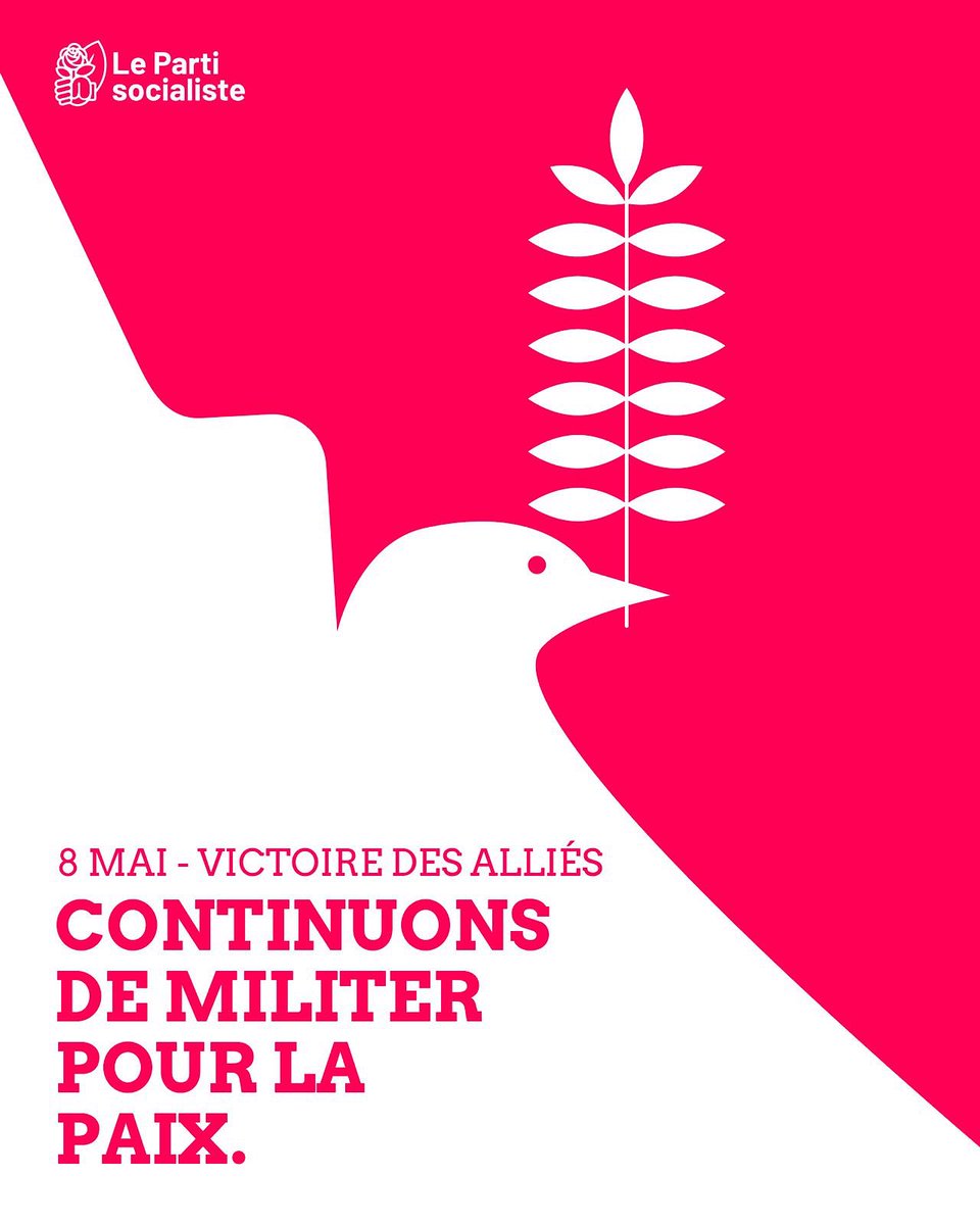 🕊️ Il y a 80 ans, la victoire des alliés mettait fin à la guerre. 50M de morts, la meurtrissure indélébile de la Shoah.

Hommage à celles et ceux qui ont perdu la vie. 

Alors que la guerre revient à nos portes, mobilisons nous pour une Europe unie, démocratique et pour la paix.