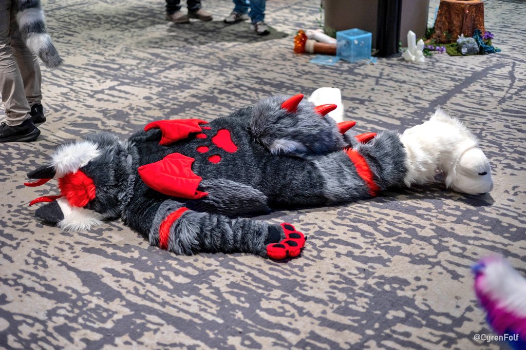 ZaroskiW's tweet image. How the week feels...i swear its on repeat! 😜🔥❤️

📷 @cyrenfolf