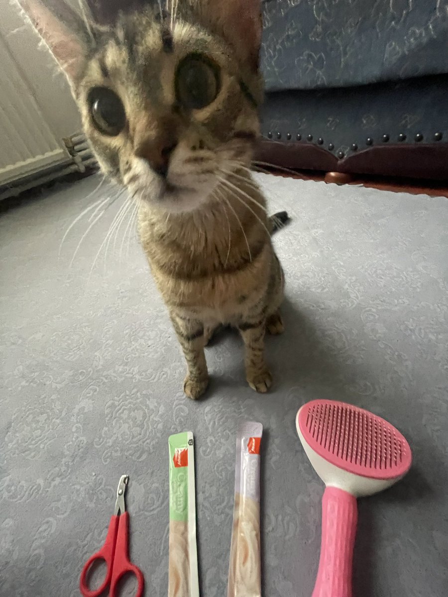 benfindiksu's tweet image. işin içinde bi kappelik olabilir