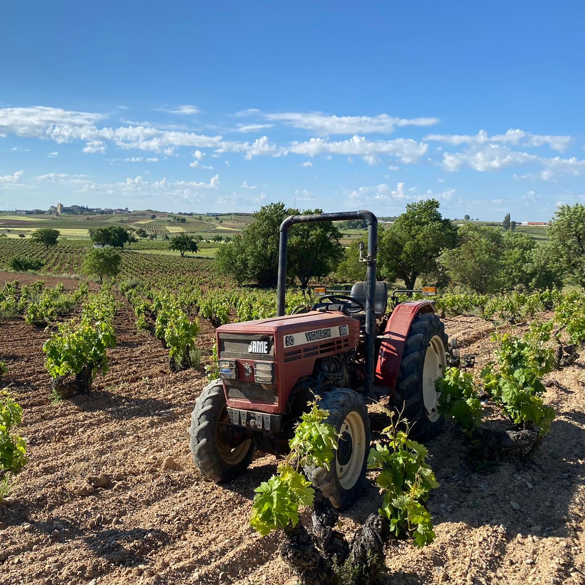 Recibes lo que das. Por eso trabajamos con respeto absoluto a la naturaleza.

Nuestro viñedo está en equilibrio, y eso se nota en la uva, en el vino… y en el sello ecológico que lo certifica. 🌱🍇🍷

#valderiz #viñedo #organicwines #riberadelduero #familiavalderiz