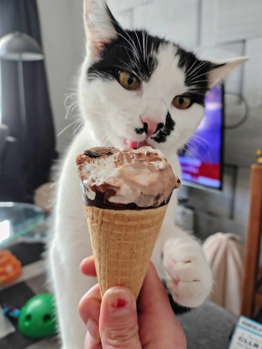 Coldcut333's tweet image. @HitPawofficial 
#HitPaw #HitPawCatTax #VikPea