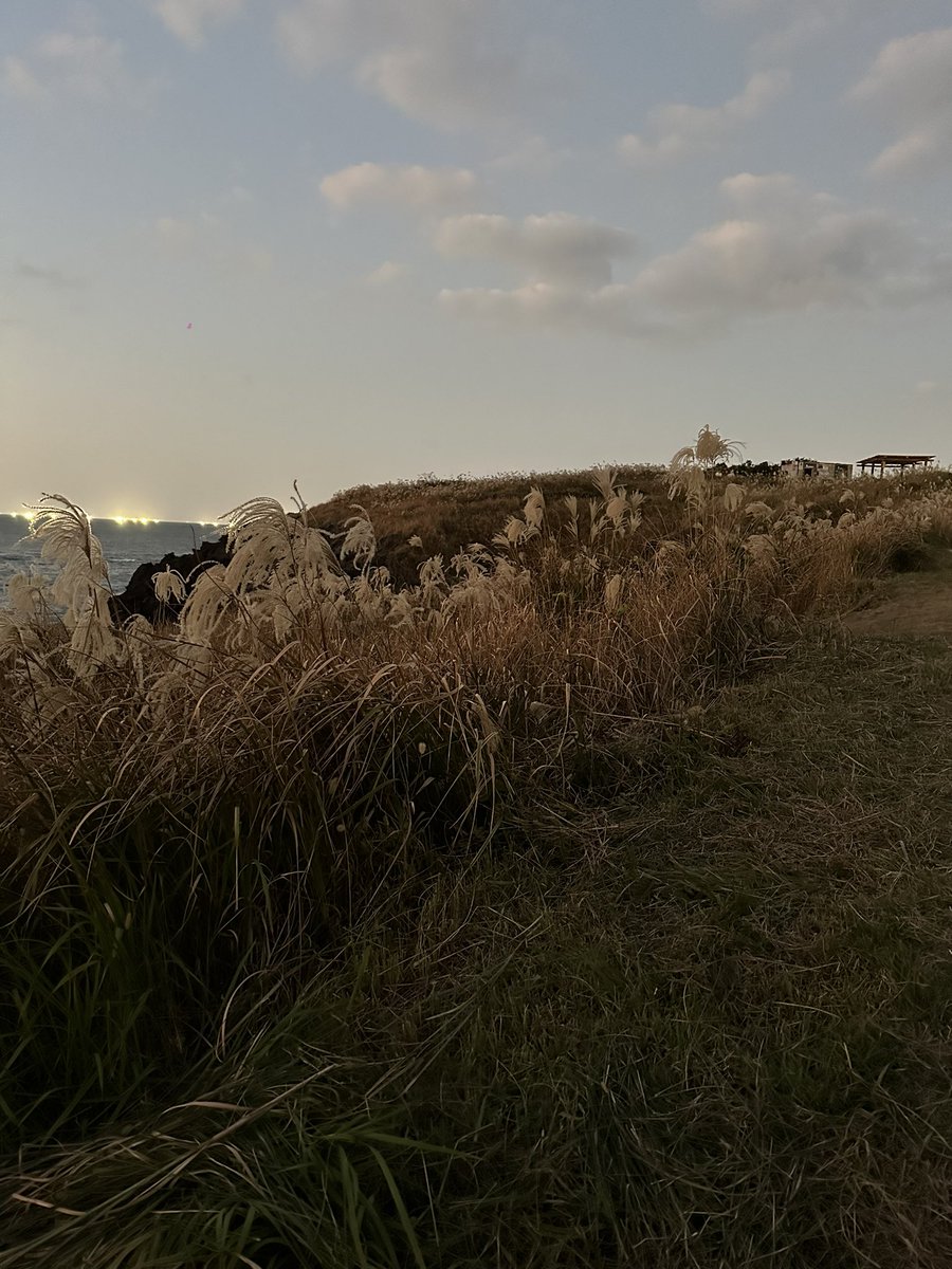 행복을 추구하는 것이 아니라
행복할 만한 사람이 되는 것

Not pursuing happiness
but becoming someone worthy of happiness.