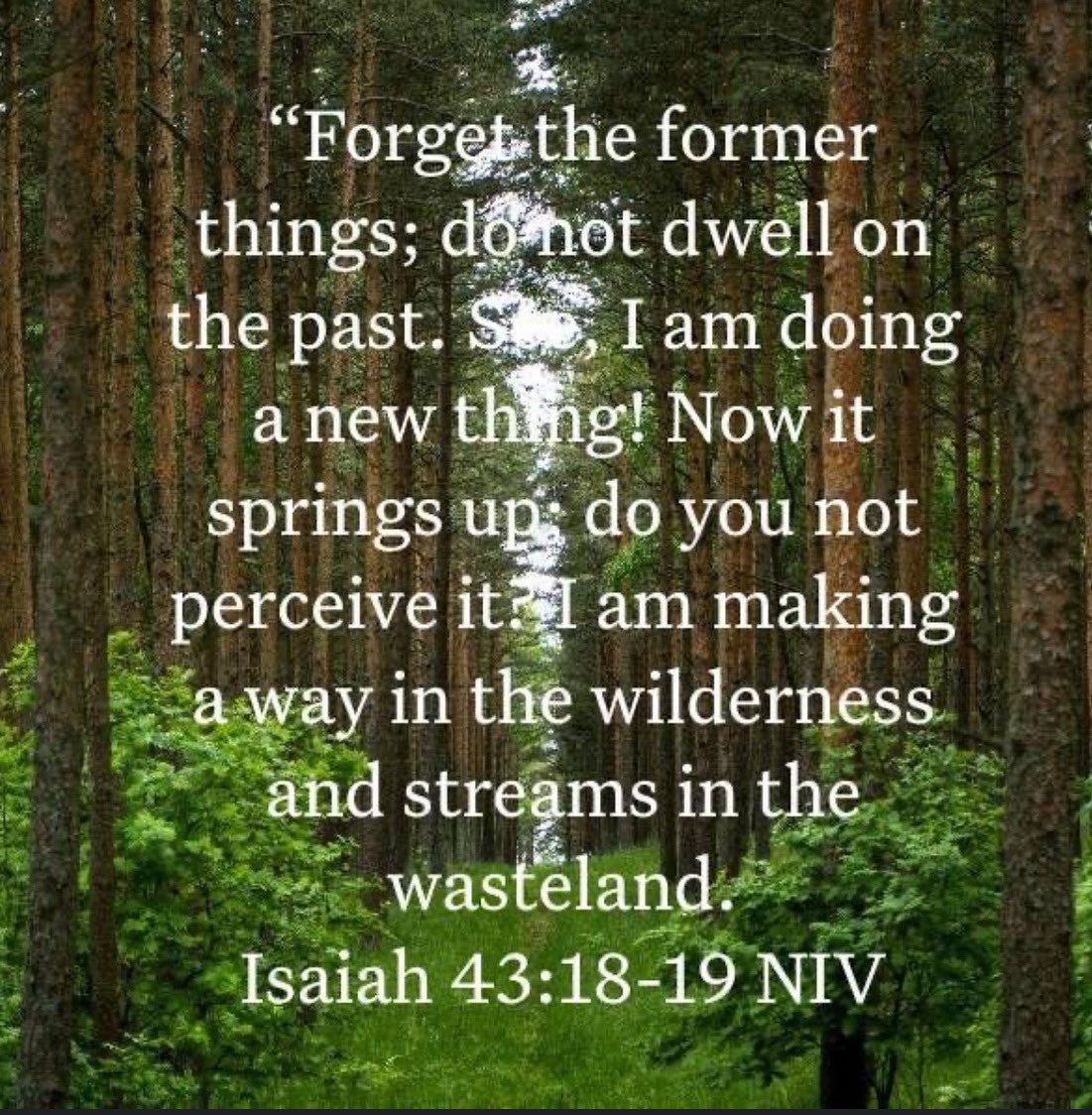 Rosie Fakes (@rosiefakes) on Twitter photo 