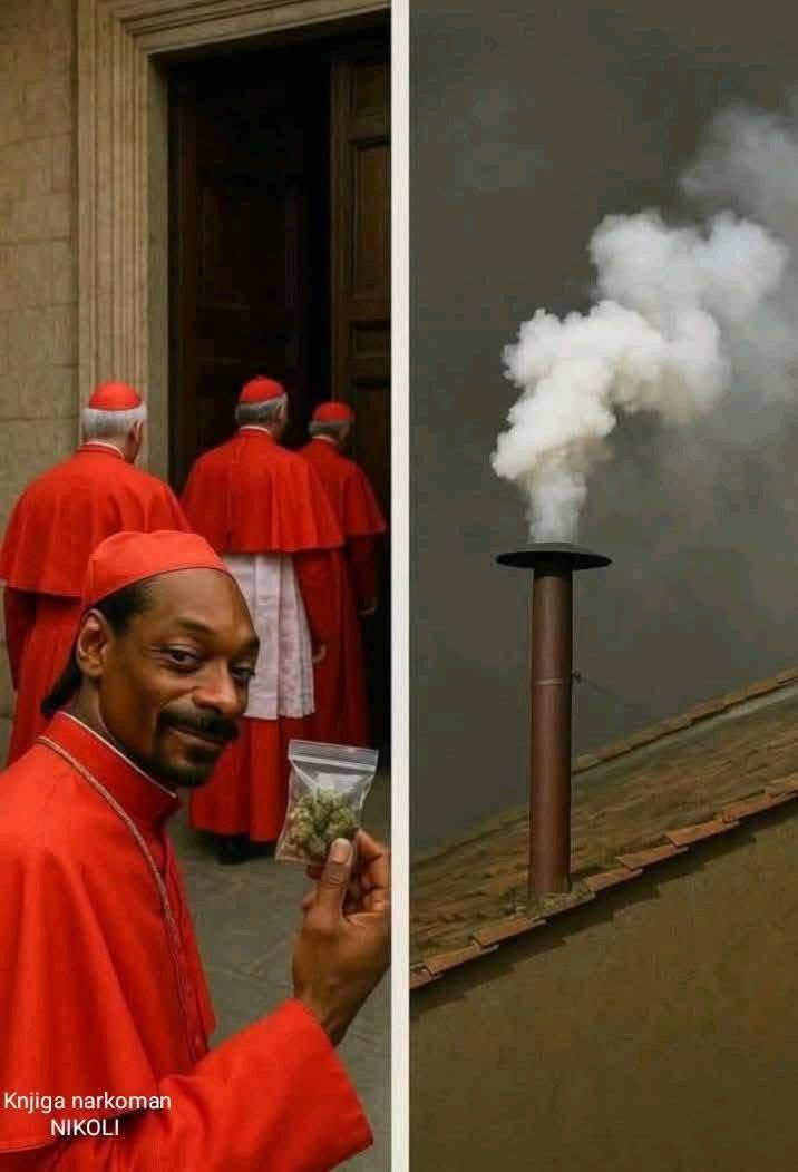 Mellivora 🌶️☕️🍫 tweet media