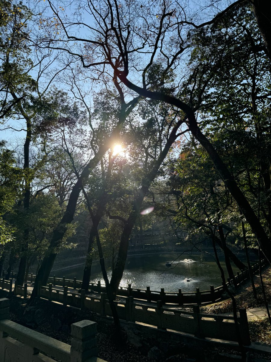 oversizeeth's tweet image. gmicrochains