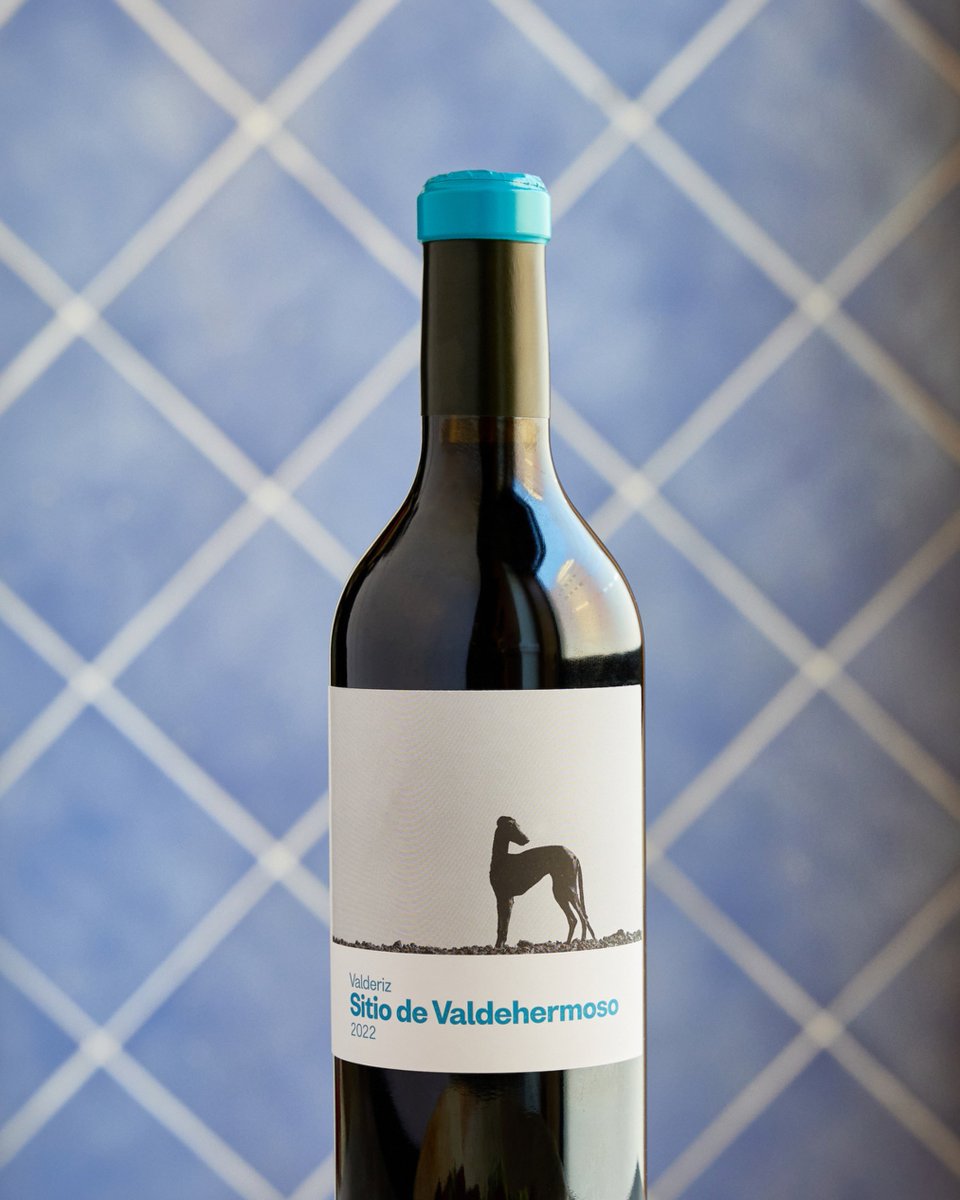 ByV_VALDERIZ tweet media