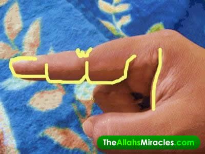 Denarii_DFI's tweet image. #PurposeOfLife, #ObjectiveMorality, #IntelligentDesign, #TruthSeeking,
#HigherPurpose, #DivineOrder, #MeaningOfLife, #FaithAndReason,
#UltimateTruth, #SpiritualJourney, #CosmicBlueprint, #PhilosophyOfLife,
#ExistentialQuestions, #SacredDesign, #DivinePurpose,
#EternalTruth