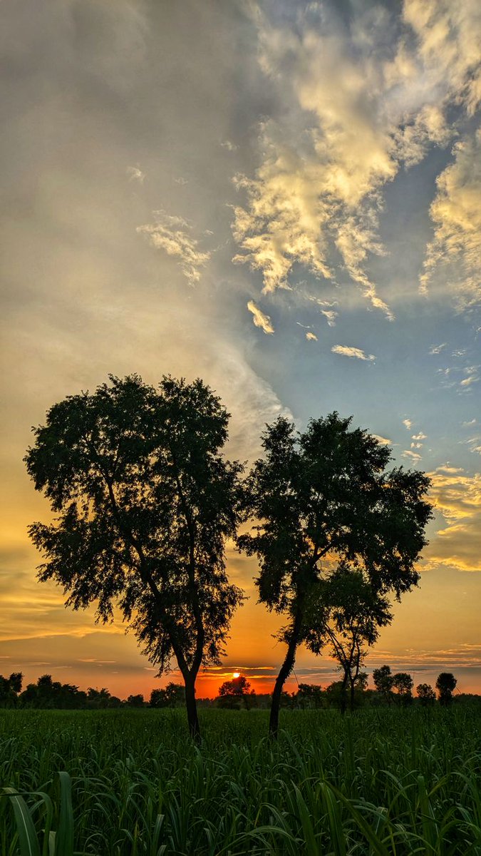 Good evening x Mate's 🥳🥳
Every time is best 🤗