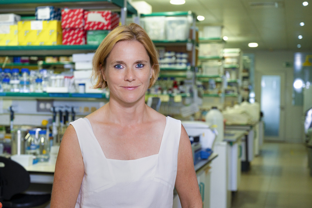 PDN_Cambridge's tweet image. We are delighted to welcome Dr Caren Norden to PDN as the new Charles Darwin Professor of Animal Embryology. This position plays a vital role in sustaining our thriving community of developmental and reproductive biologists.
Read the story in full at pdn.cam.ac.uk/news/dr-caren-…