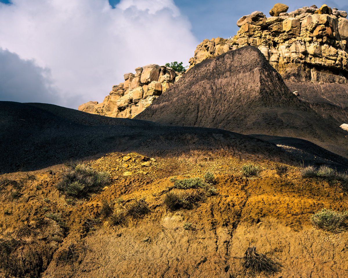 rosstintexas tweet media