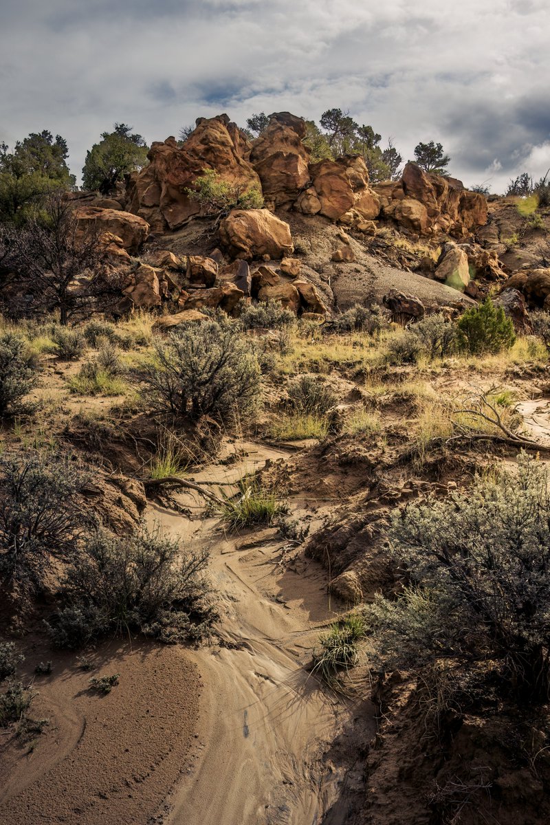 rosstintexas tweet media