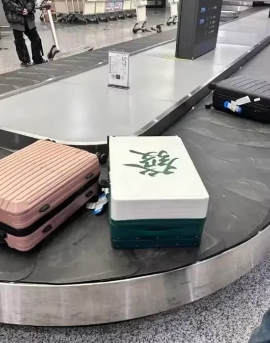？这他妈什么造型